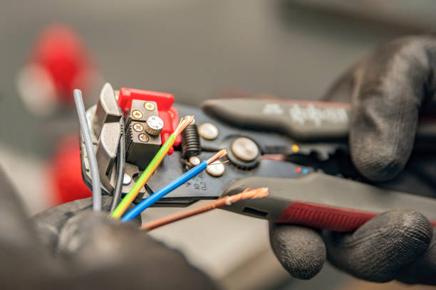 Best Electrician for Home Renovation  in Winthrop, IA